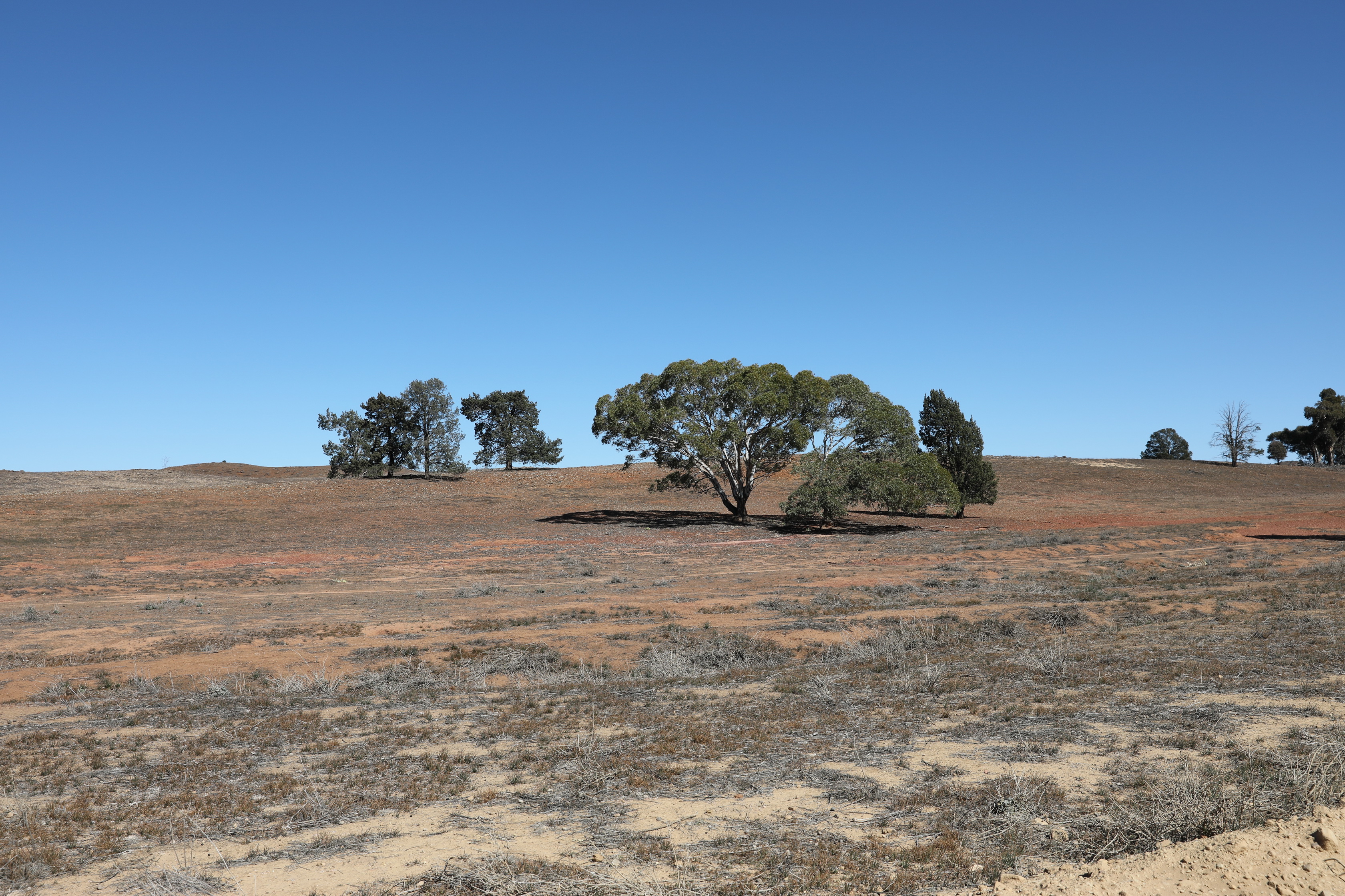 2019 09 01 10 33 29 Canon EOS 5D Mark IV 0005